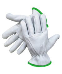 Radnor® Medium Grain Goatskin Unlined Drivers Gloves With Straight Thumb, Slip-On Cuff, Green Hem And Shirred Elastic Back