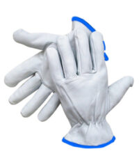 Radnor® X-Large Grain Goatskin Unlined Drivers Gloves With Straight Thumb, Slip-On Cuff, Blue Hem And Shirred Elastic Back