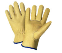 Radnor® X-Large Grain Pigskin Unlined Gunn Cut Drivers Gloves With Straight Thumb, Slip-On Cuff, Blue Hem And Shirred Elastic Back