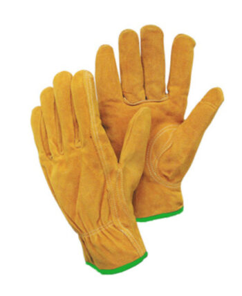 Radnor® Medium Leather Unlined Drivers Gloves With Keystone Thumb, Slip-On Cuff, Green Hem And Shirred Elastic Back